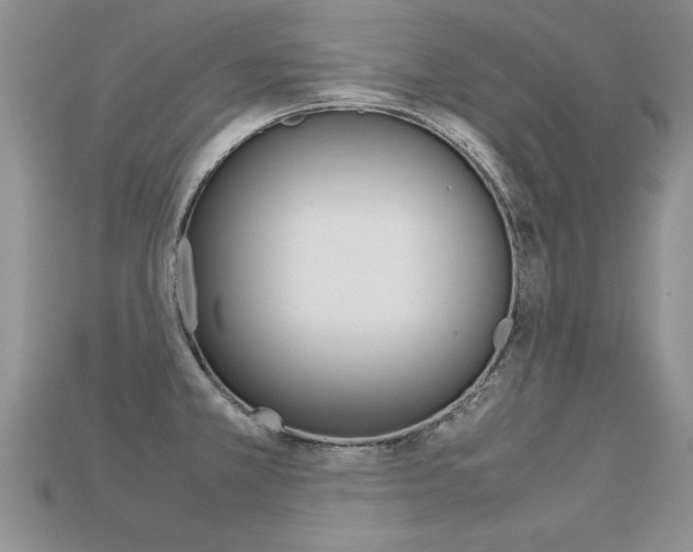 X0000113311381200909140957