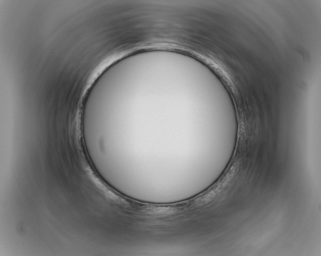 X0000113311382200909140957