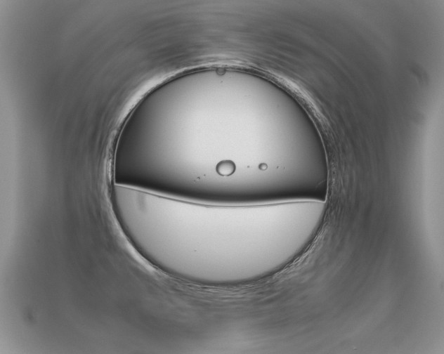 X0000113311383200909140957