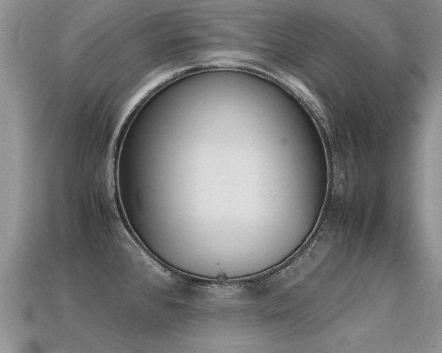 X0000113311384200909140957