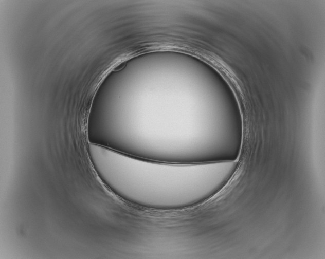 X0000113311385200909140957