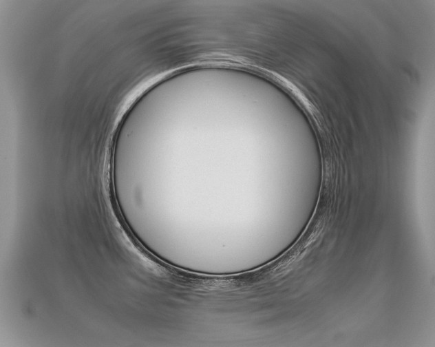 X0000113311387200909140957