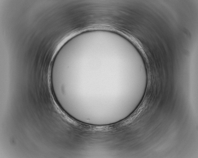 X0000113311390200909140957