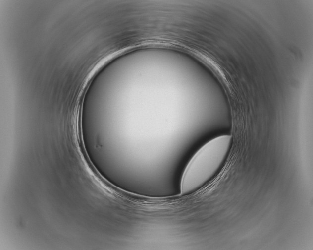 X0000113311391200909140957