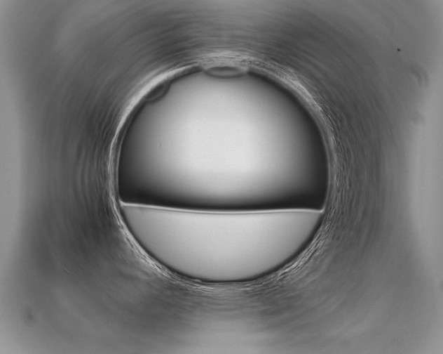 X0000113311392200909140957