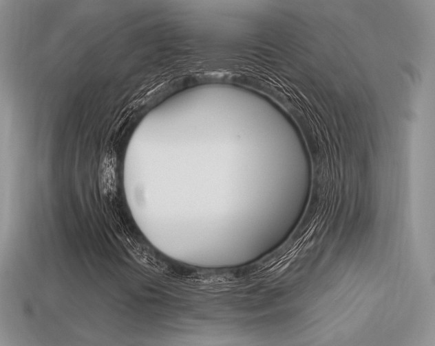 X0000113311394200909140956