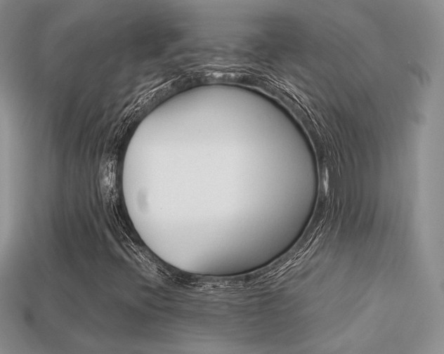 X0000113311396200909140956