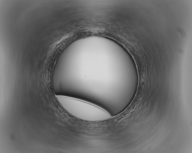 X0000113311398200909140956