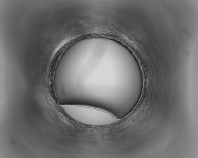 X0000113311400200909140956