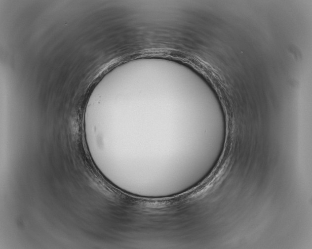 X0000113311401200909140956