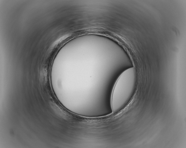 X0000113311402200909140956