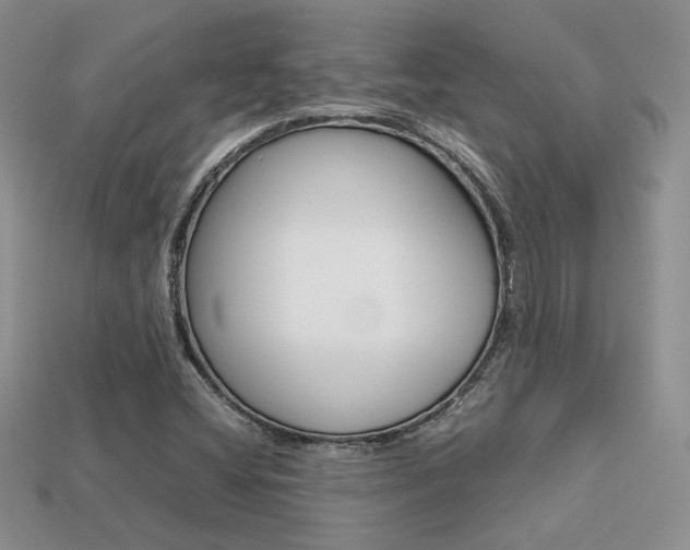 X0000113311404200909140956