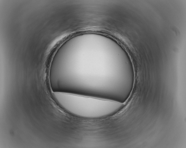 X0000113311406200909140956