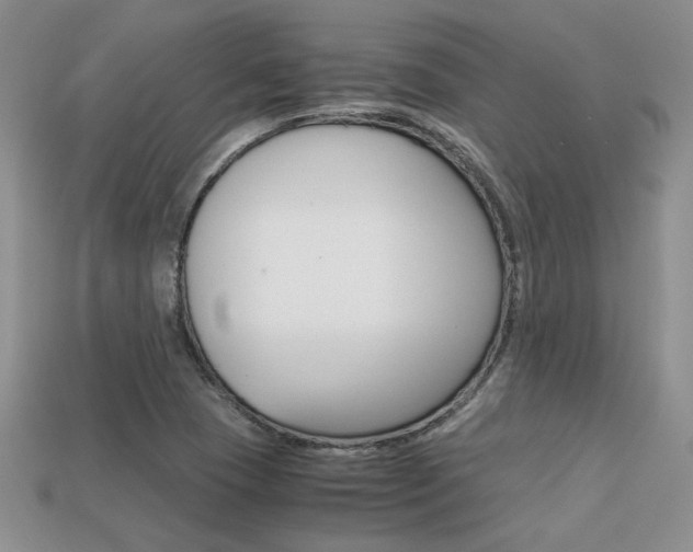 X0000113311409200909140956