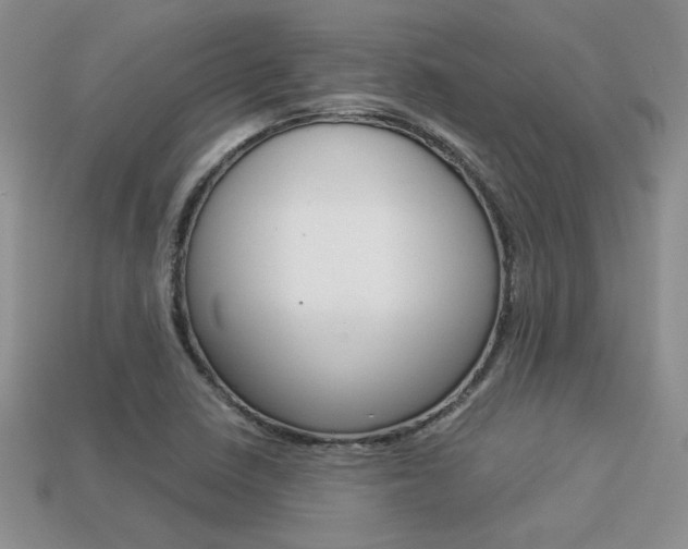 X0000113311410200909140956