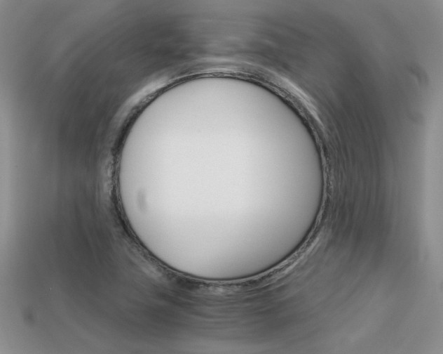 X0000113311411200909140956