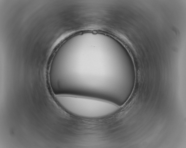 X0000113311412200909140956