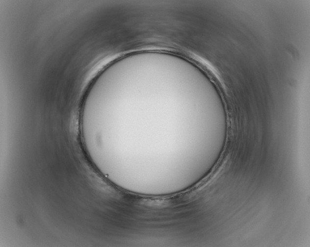 X0000113311415200909140956