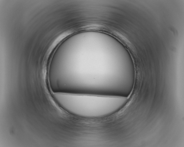 X0000113311418200909140956