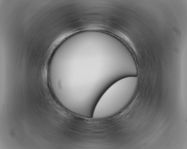 X0000113311419200909140956