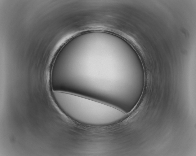 X0000113311424200909140957
