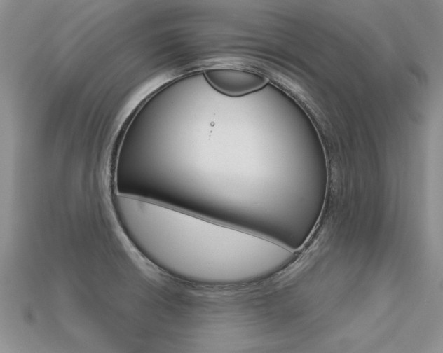 X0000113311426200909140957