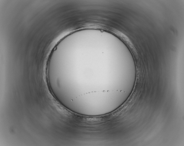 X0000113311427200909140957