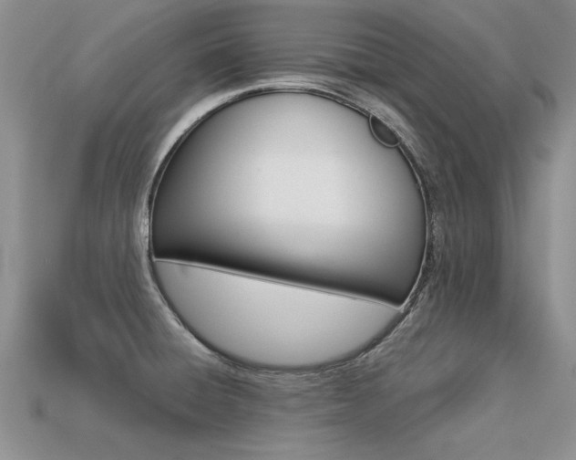 X0000113311428200909140957
