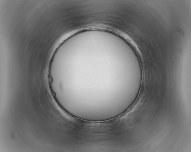 X0000113311429200909140957