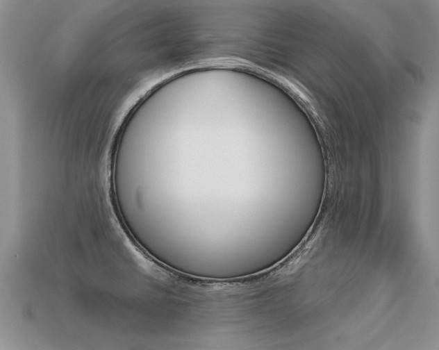 X0000113311430200909140957