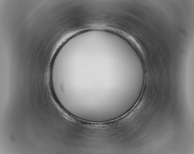 X0000113311432200909140957
