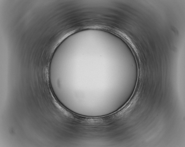 X0000113311433200909140957