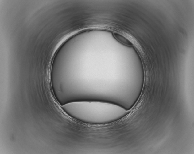 X0000113311436200909140957