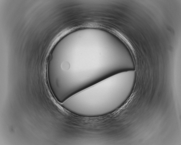 X0000113311437200909140957