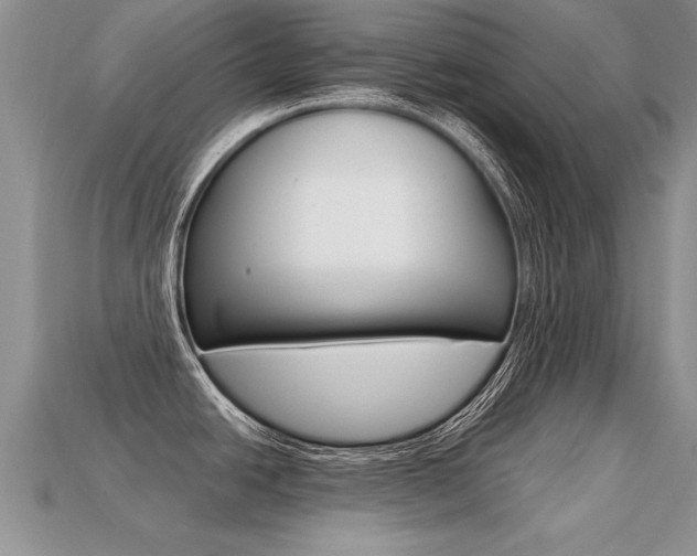 X0000113311438200909140957