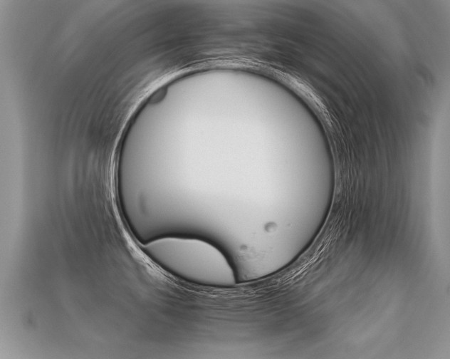 X0000113311439200909140957