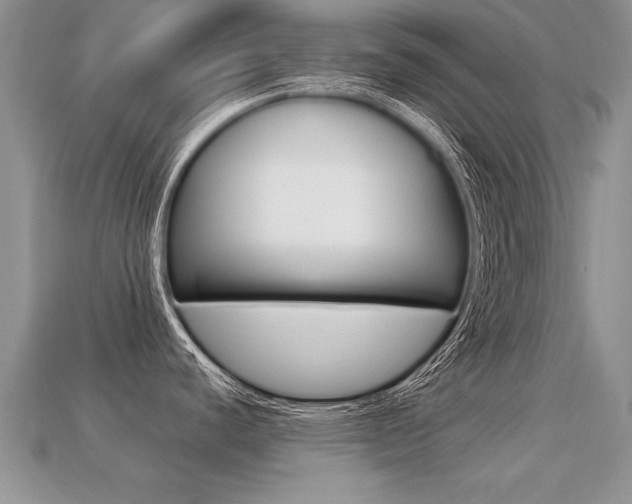 X0000113311440200909140957