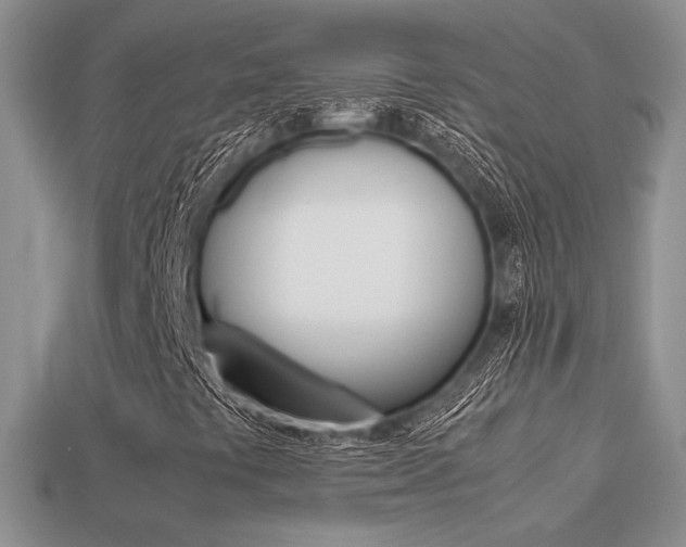 X0000113311441200909140956