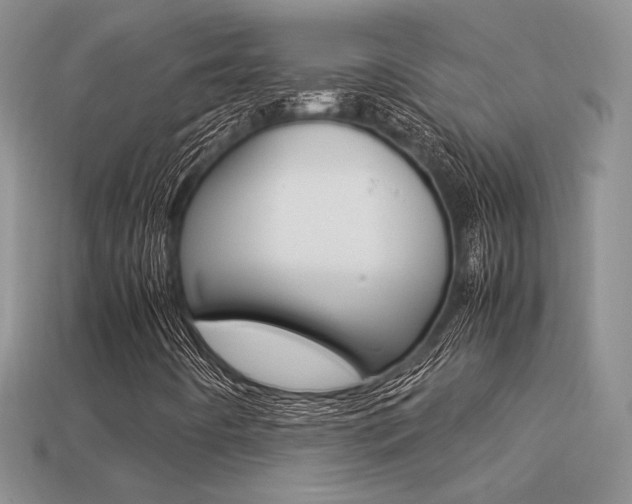 X0000113311442200909140956