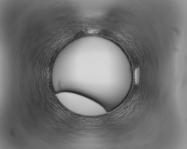 X0000113311443200909140956