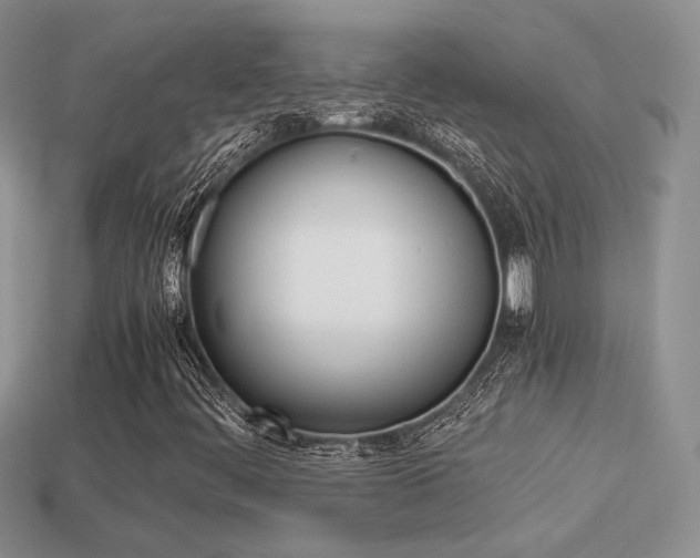 X0000113311444200909140956