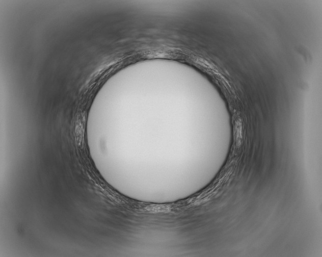 X0000113311446200909140956