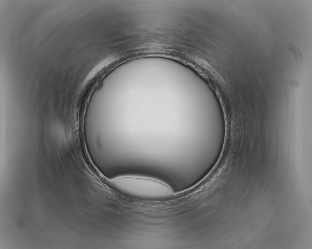 X0000113311450200909140956