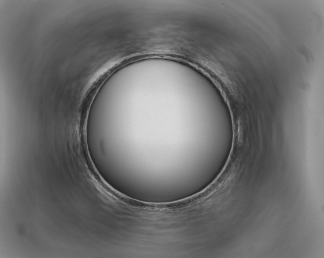 X0000113311452200909140956