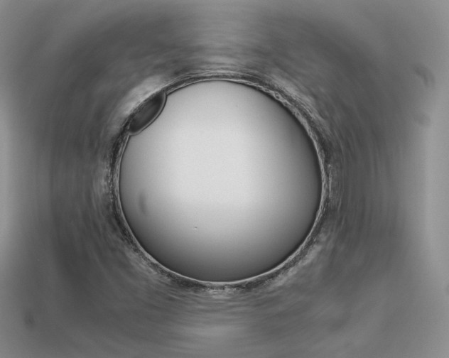 X0000113311453200909140956