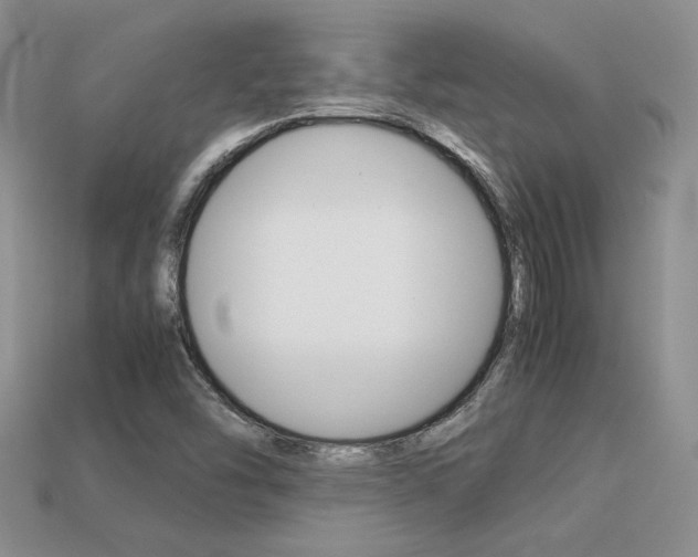 X0000113311454200909140956