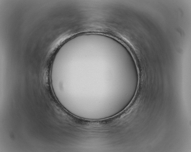 X0000113311455200909140956