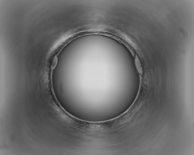 X0000113311456200909140956