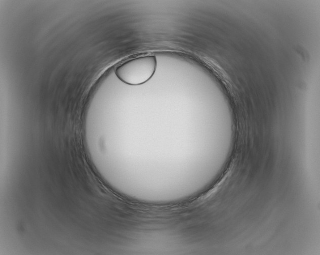 X0000113311457200909140956