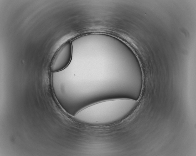 X0000113311458200909140956